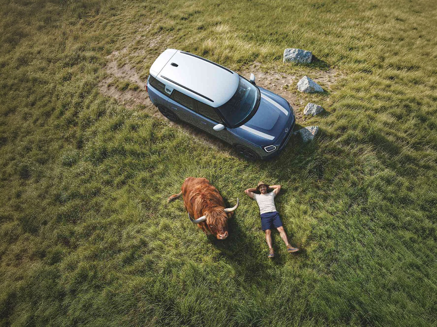MINI Service with Proactive Care – man relaxing on a hill near his MINI Countryman S ALL4 with a Highland Bull for company.